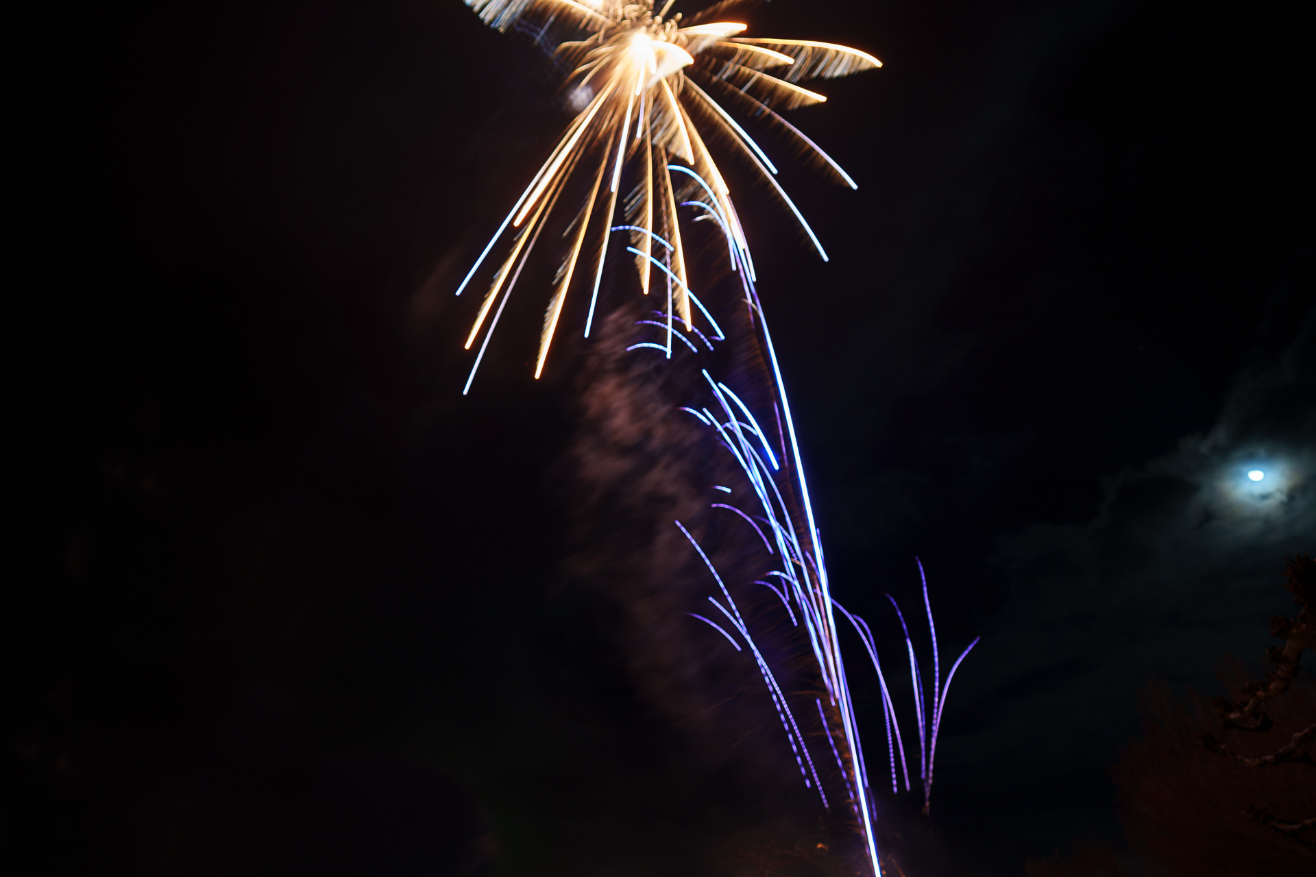 Vereniging ‘Wij zijn Noord-Beveland’ opgericht