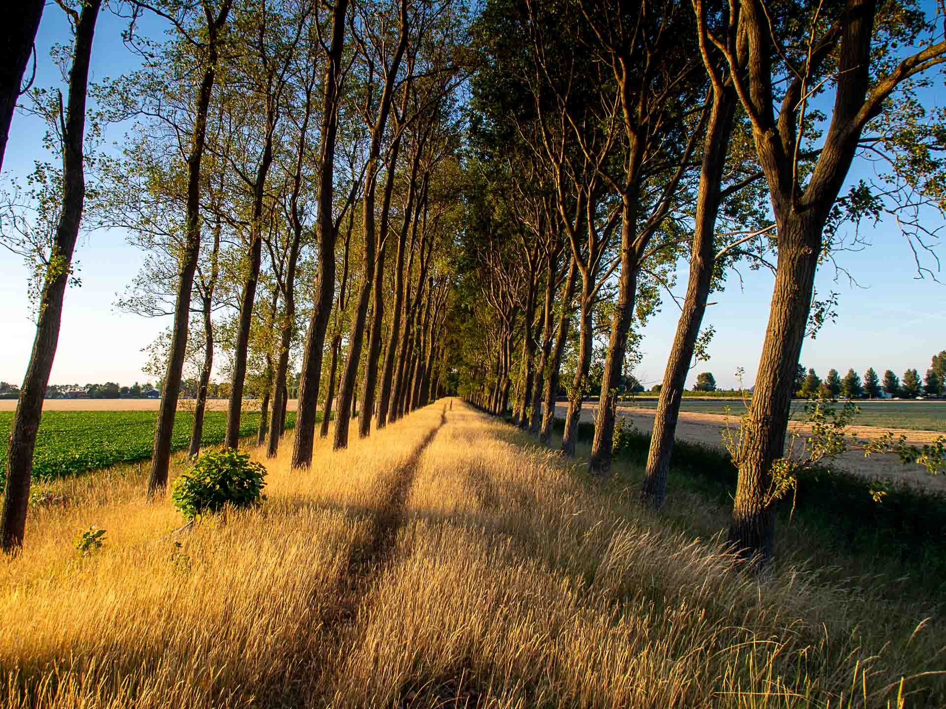 Voorbereiding partij ‘Wij zijn Noord-Beveland’